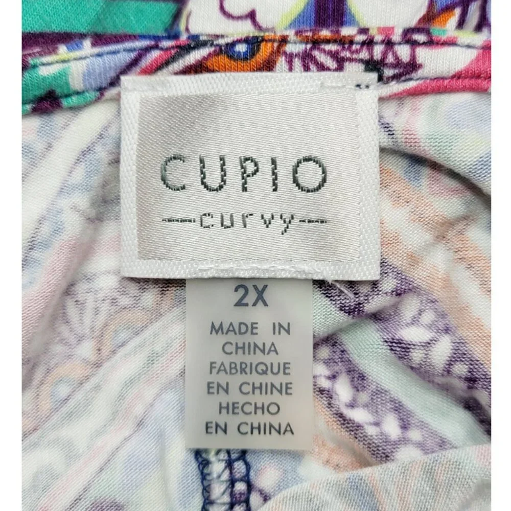 Cupio Curvy Multi Color Paisley Floral Tank Swing Dress 2X